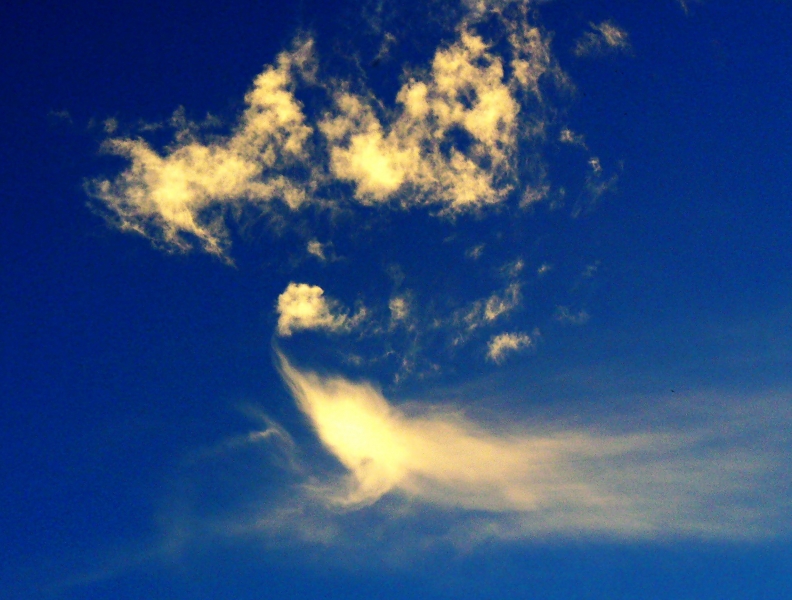 P1040386